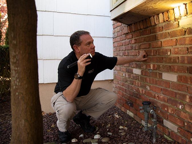 local pest control specialist in new jersey