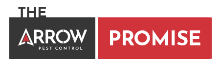 the arrow promise logo