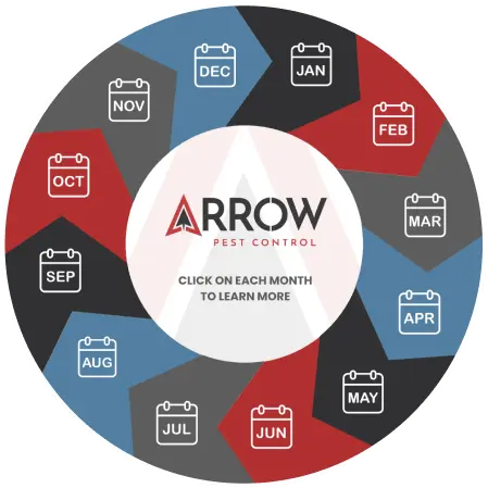 arrow pest control wheel