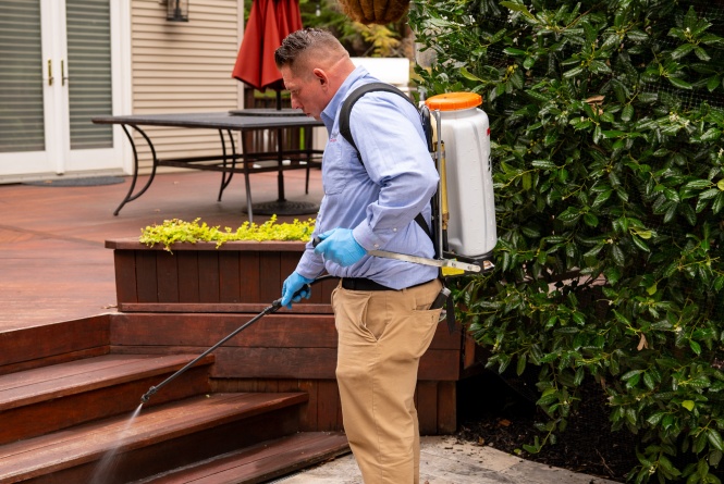 technician spraying for ticks