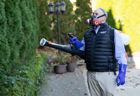 Commercial Mosquito Treatments