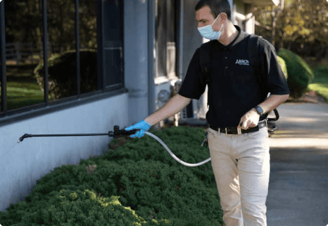Arrow Pest Tech Spraying Bushes