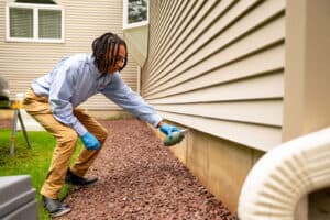 Residential Carpenter Ant Control