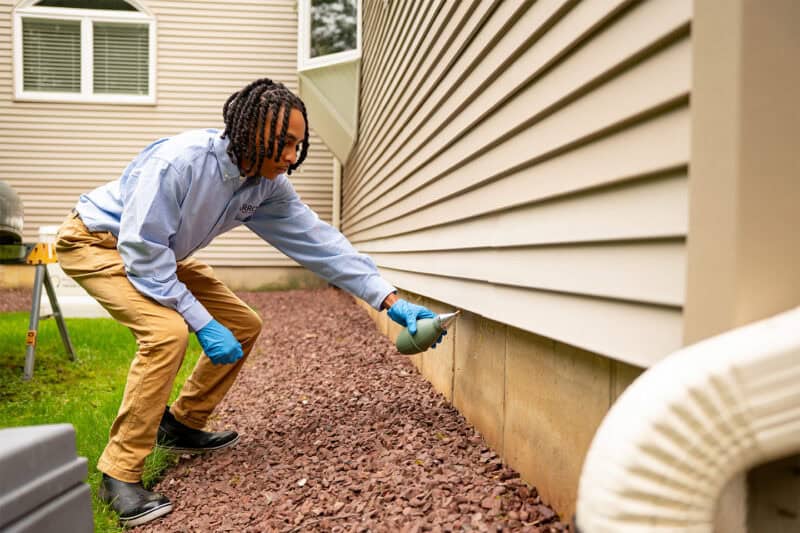 Residential Carpenter Ant Control