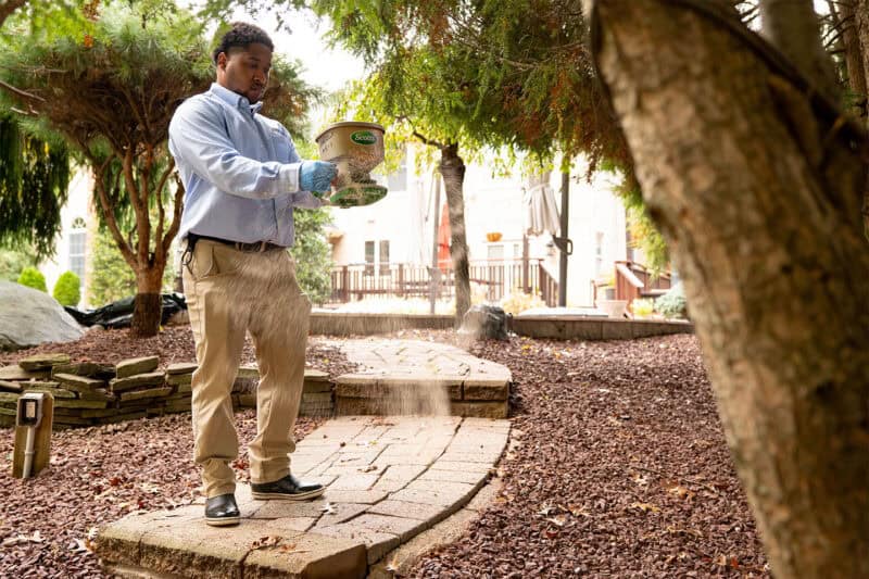 Residential Rodent Control